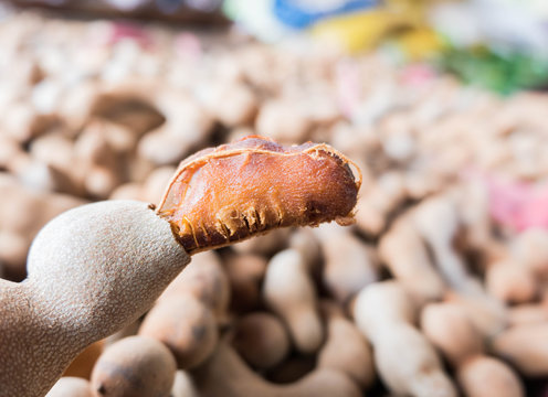  ripe tamarind pods background