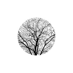 winter tree in a circle