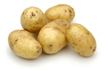 Potato group