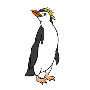 Cute royal penguin on a white background.