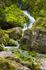 Naklejka na ściany i meble Stream of water through the rocks covered with moss.