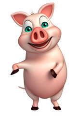 funny  Pig cartoon character