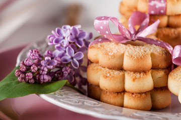 Fototapeta na wymiar Sweet cookies with pink ribbon and lilac flowers