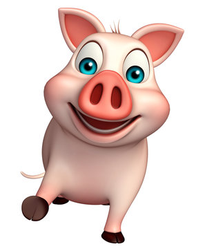 hold  Pig cartoon character