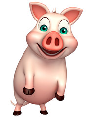 funny  Pig cartoon character