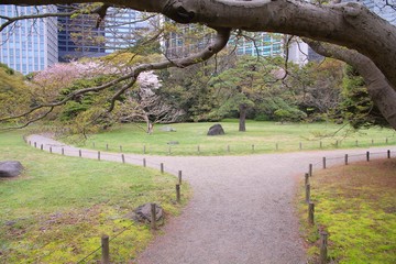 Tokyo park