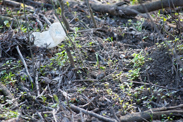Pond/Lake polution in Special Nature Reserve 