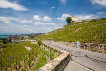View of the vineyards of Lavaux on Lake Geneva