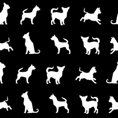 Vector chihuahua small dog seamless pattern.