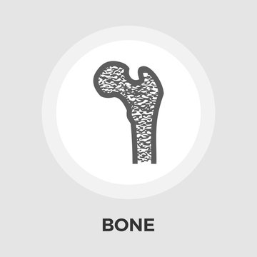 Bone flat icon.