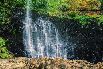 Purling brook Falls at Springbrook National Park in Queensland.
