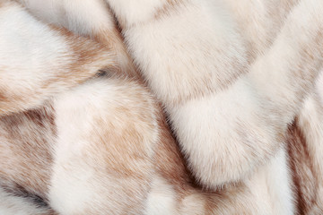 fur mink