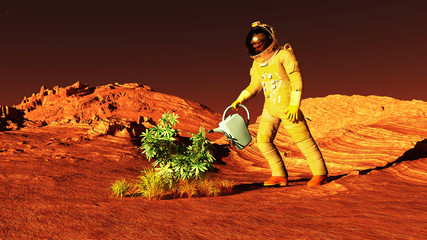 The plant image on Mars 3D illustration © Sergey Drozdov