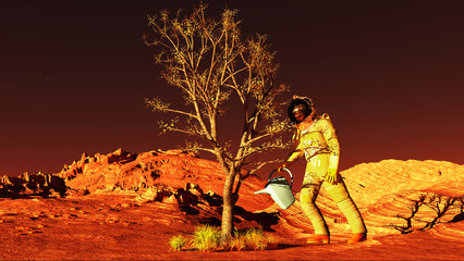 The plant image on Mars 3D illustration