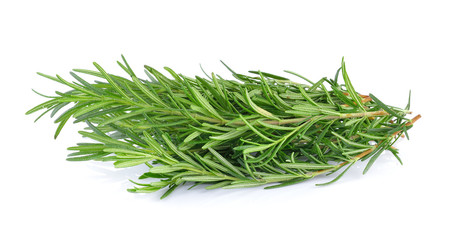 rosemary isolated on white background