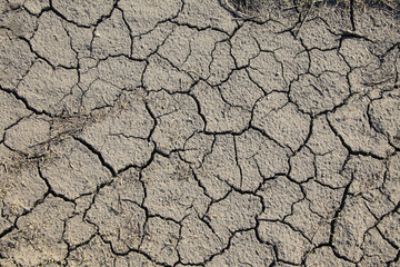 dry cracked earth
