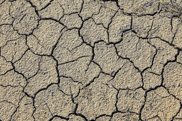 dry cracked earth