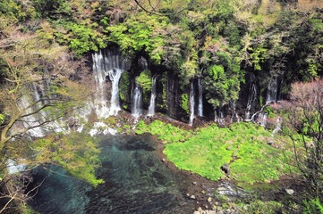白糸の滝
