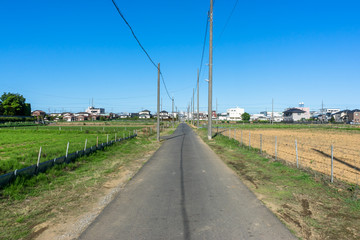 田園の一本道