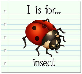 Flashcard letter I is for insect