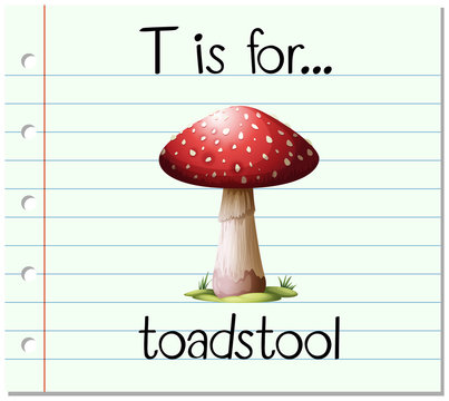 Flashcard letter T is for toadstool