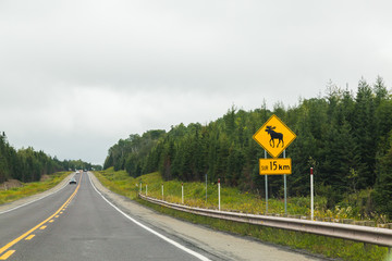 Moose Warning Sign