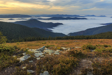 Forested hillside with seaclouds on a meadow in Romania