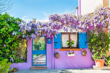 Violet house and flowers