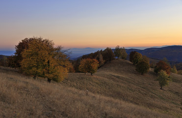 Autumn evening on the hill