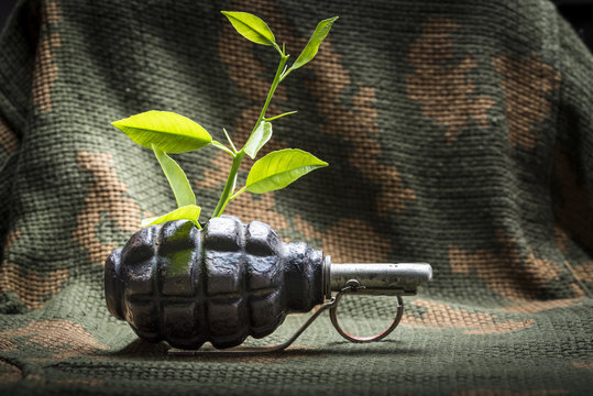 Tree sprout in the shell of  fragmentation grenade, cmouflage ba