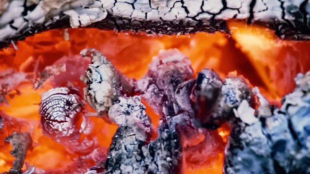 brennendes Holz Glut Hitze,  Video HD
