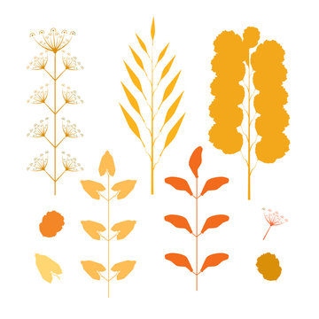 Collection of leaves