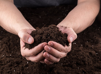 Soil in hands
