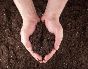 Soil in hands