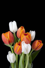 orange and white flower buds.