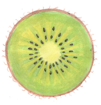 Illustration of kiwi in a cut on a white background watercolor