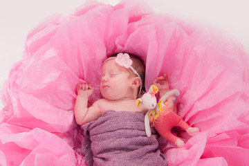 bébé dans une rose