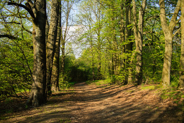 spring park