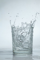 ice cubes in the water