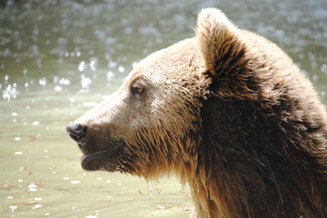 Ours