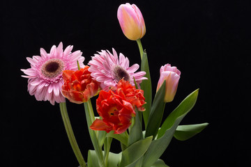 colorful bouquet of fresh spring tulips and gerbera flowers