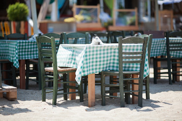Empty Wooden Tables and Chairs with Green and White Checkered Tablecloths on Sunny Outdoor Restaurant Patio