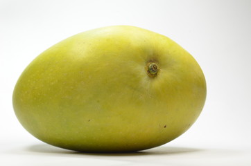 Alphonso yellow Mango fruit isolated on white background