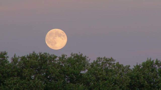 Time lapse of a full moon rising above trees in Bordeaux, France 