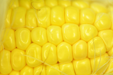 Detail shot of fresh corn on cob