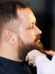 Obraz premium Adult bearded man at barbershop