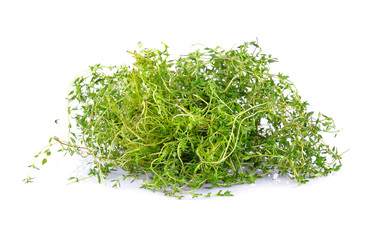 Fresh thyme on white background