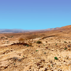 Negev Desert
