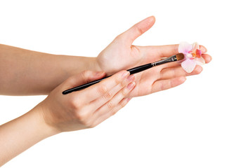 Cosmetic brush and orchid flower in female hands isolated.