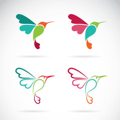 Vector image of an hummingbird design on white background, Logo, © yod67